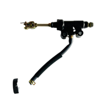 Master Cylinder & Lever